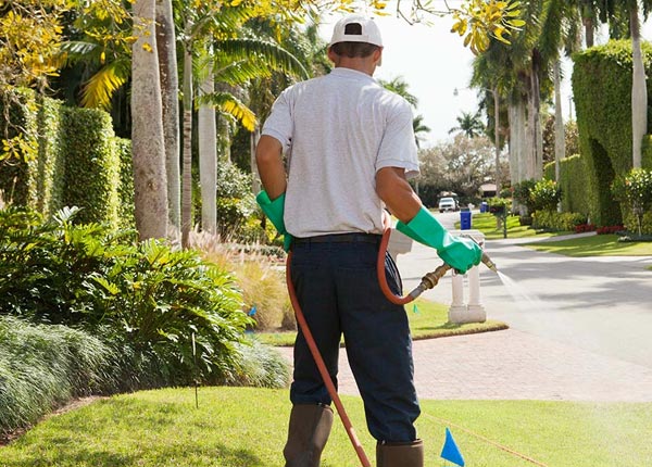 About New Middletown OH Pest Control